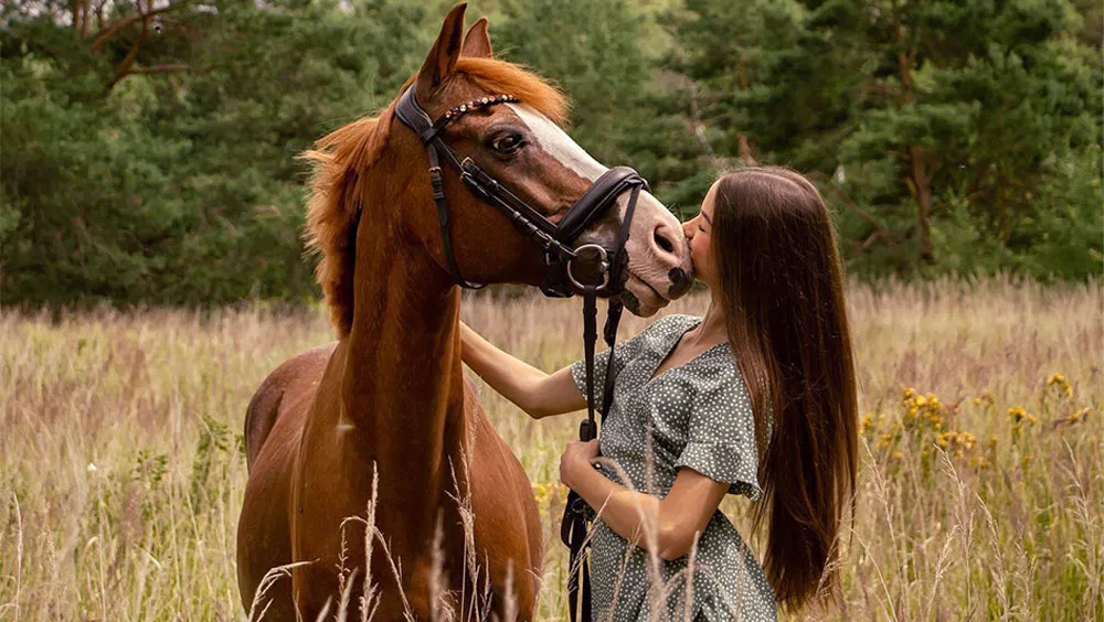 4 Top Safety Tips to Consider When Working with A Horse