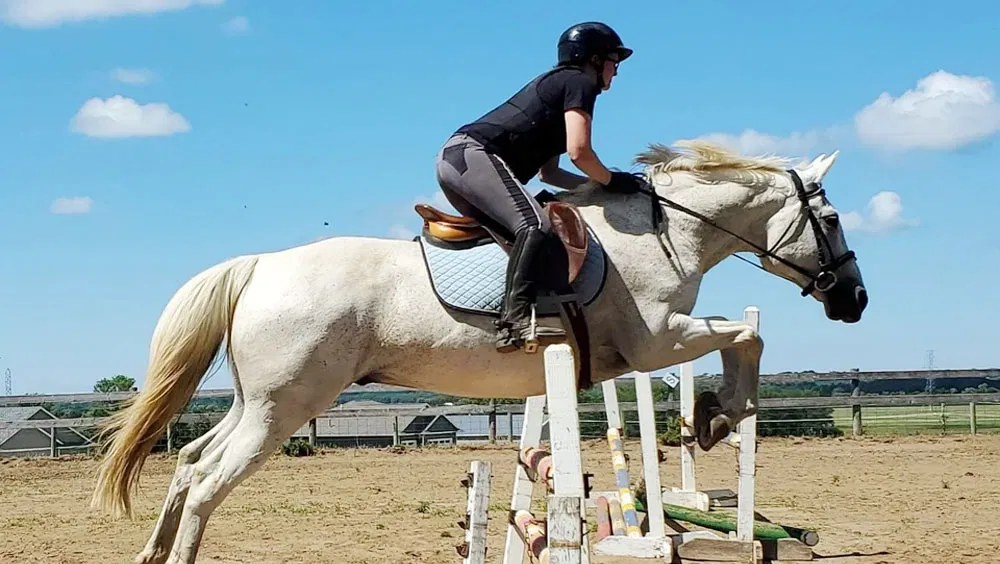 A Quick Guide for Your First Horse Tack Purchase
