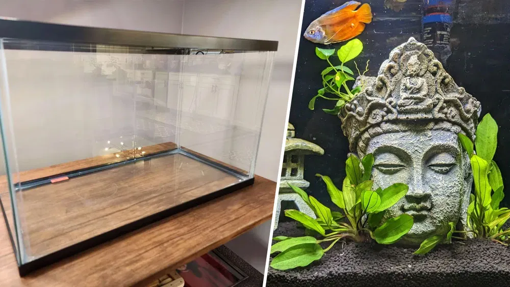 How to Build Your Own Glass Aquarium