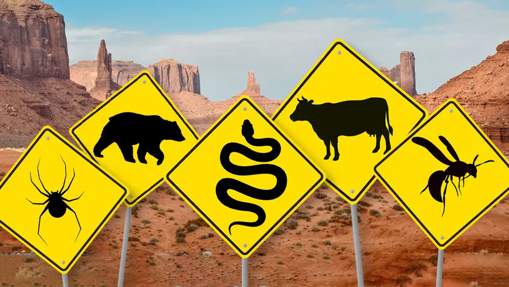 The Most Dangerous Creatures Lurking in Each State of America