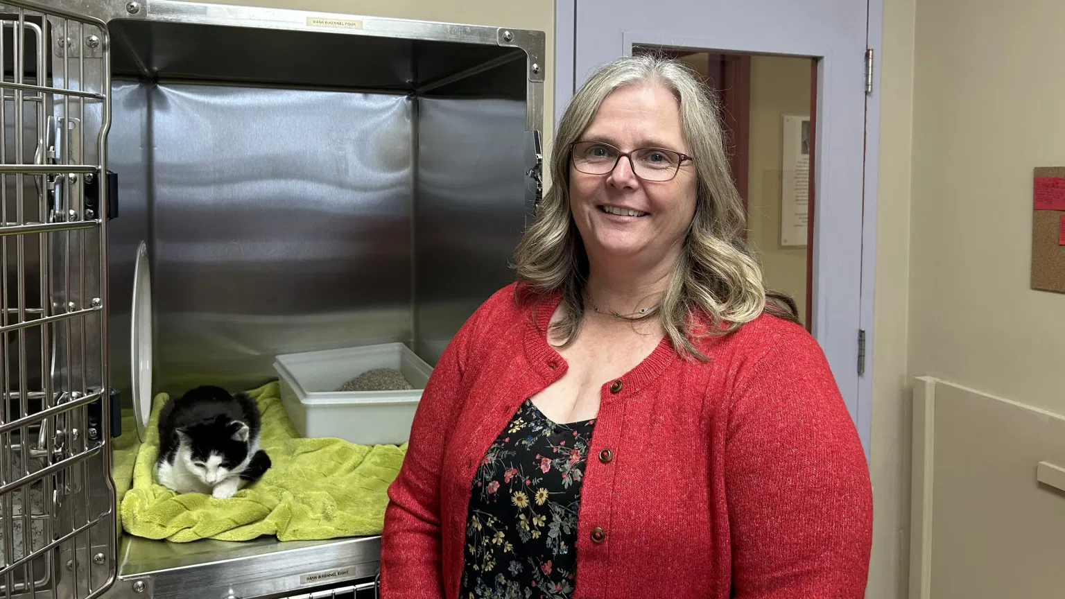 Pet Adoption Demand Skyrockets: Shelters Empty While Heat Wave Safety Concerns Rise