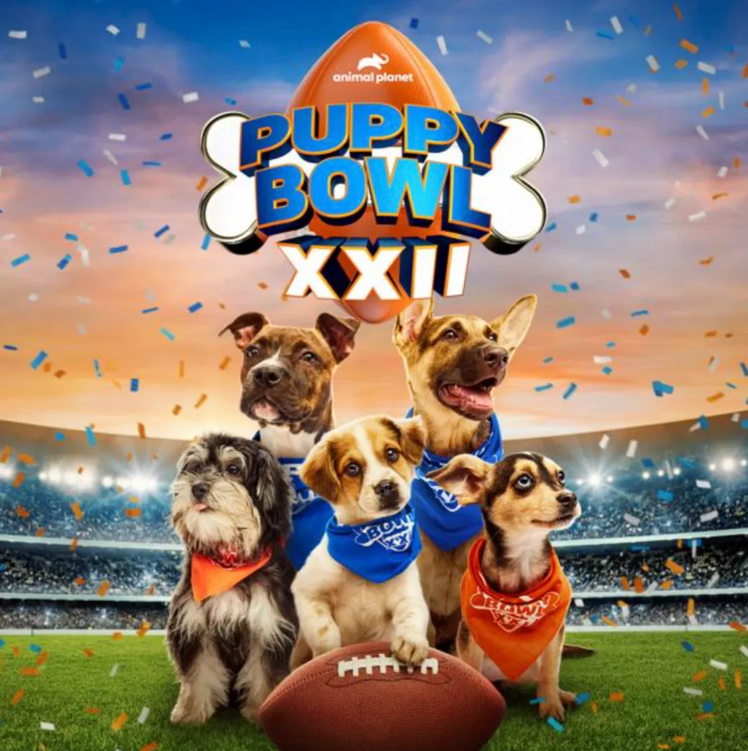Puppy Bowl 2026: Record-Breaking Adoption Event with 150 Dogs