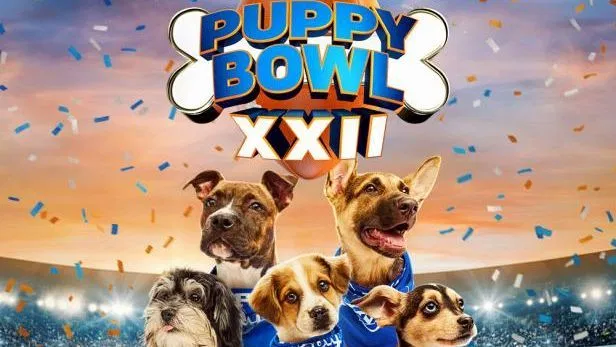 Puppy Bowl 2026: Schedule, Teams, and How to Watch the Ultimate Puppy Showdown