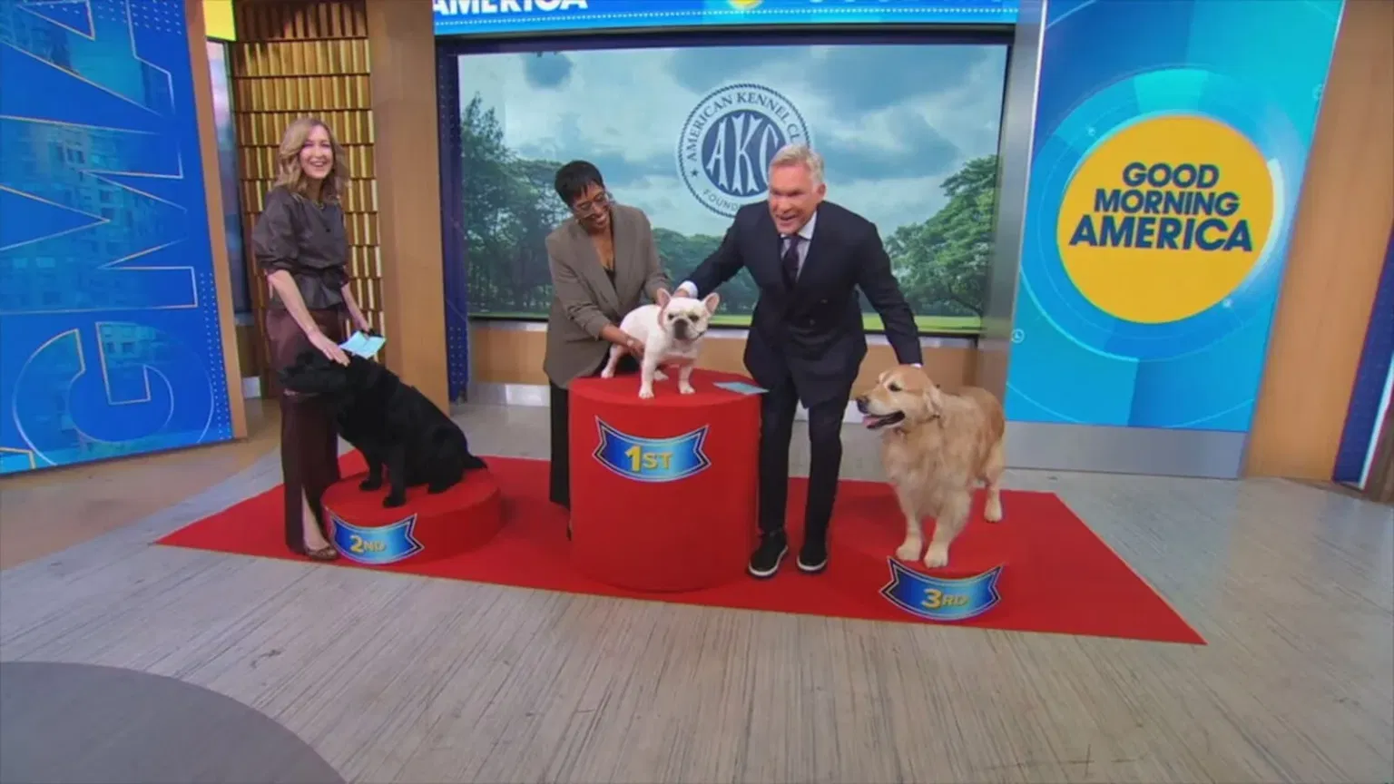 French Bulldog Reigns as America's Most Popular Dog Breed in 2024