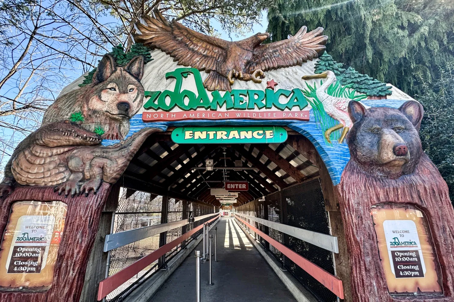 ZooAmerica Wolf Incident: Critical Animal Safety Lessons for Pet Owners