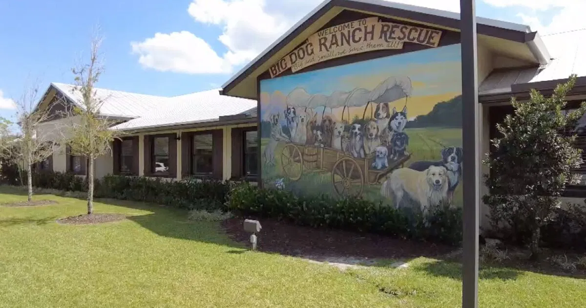 Big Dog Ranch Rescue: How America's Largest No-Kill Shelter Is Saving Thousands of Dogs