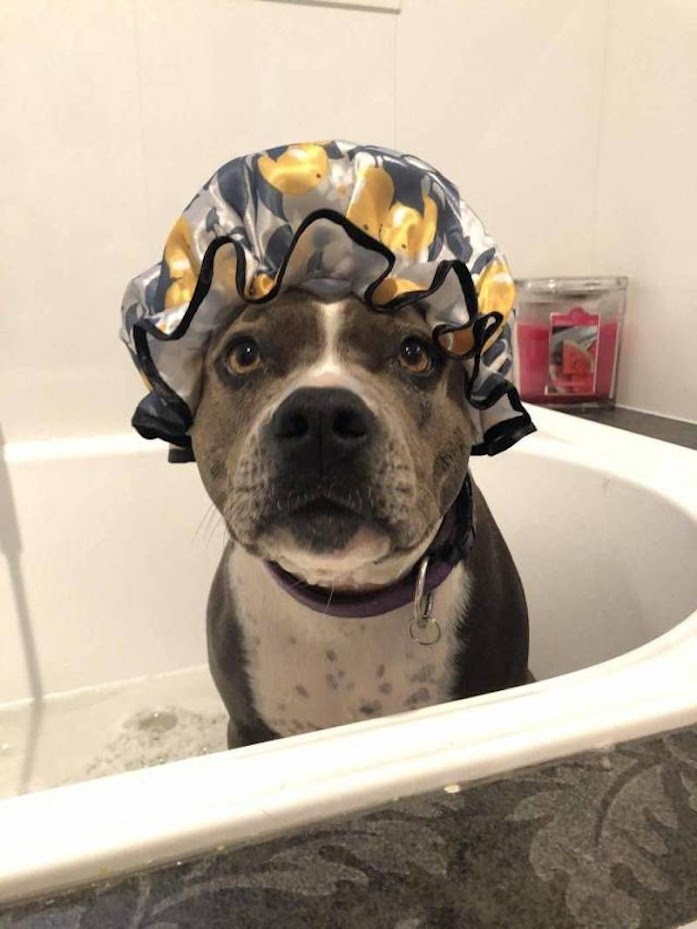 Bath time