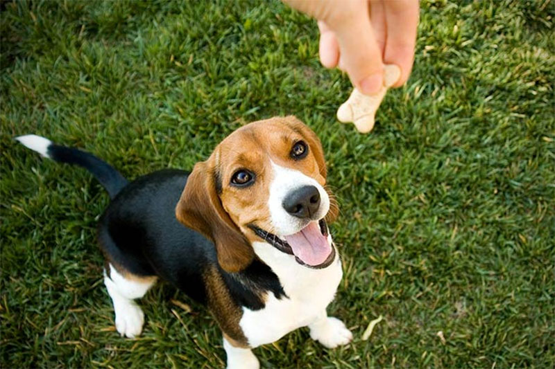 Being rewarded
