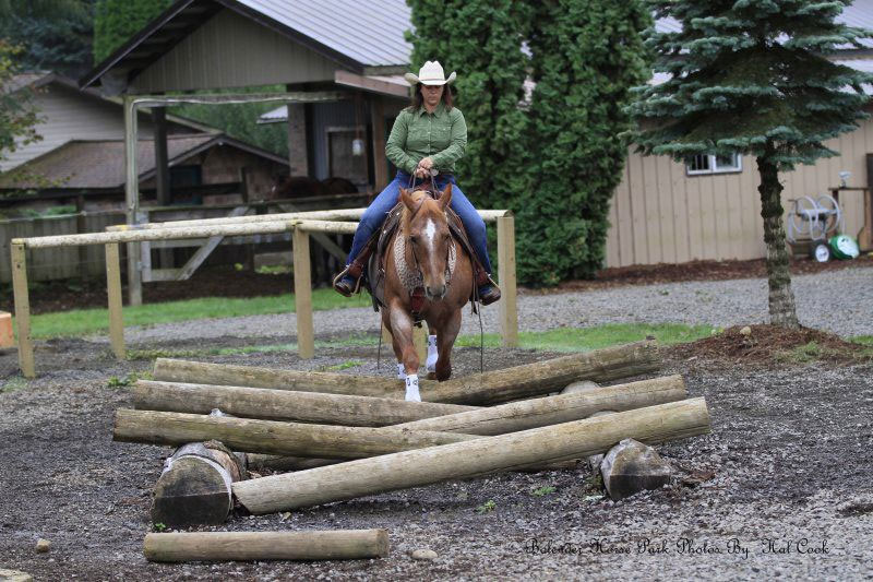 Create Obstacles for Your Horse to Navigate