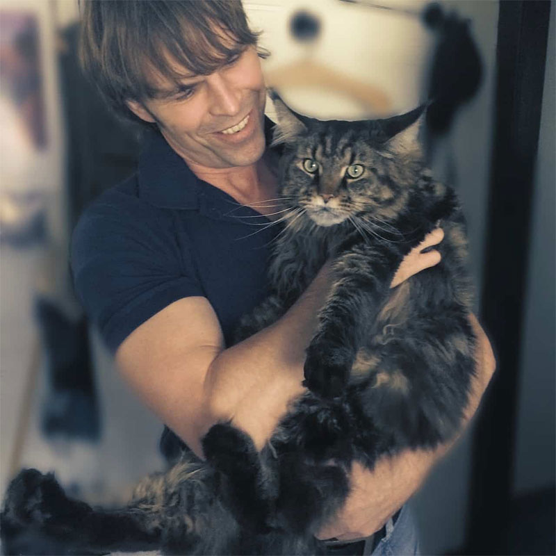 Maine Coon cats are high maintenance