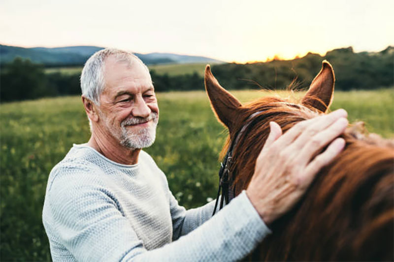 Pet Your Horse for a Few Minutes