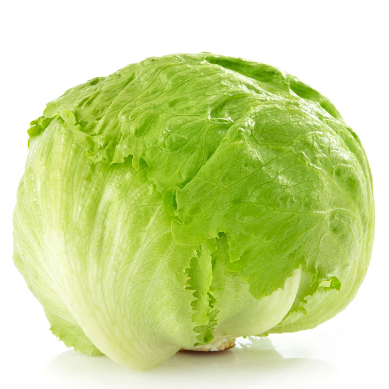 wrong lettuce