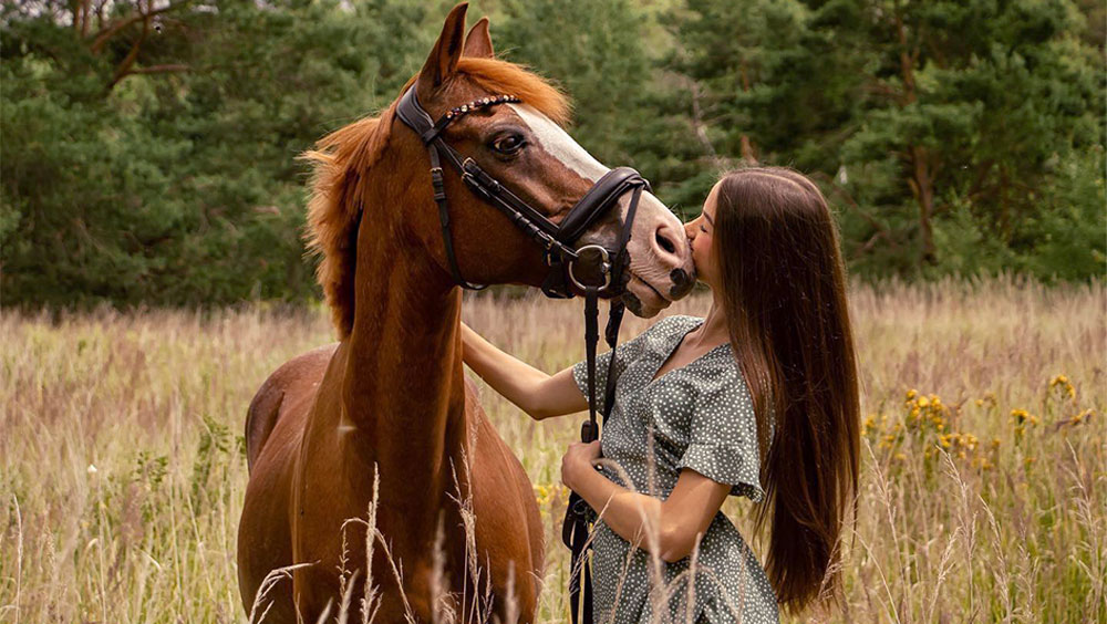 4 Top Safety Tips to Consider When Working with A Horse