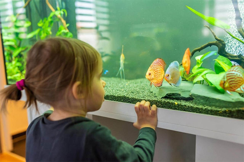 Don t Let Kids Play Near Tank