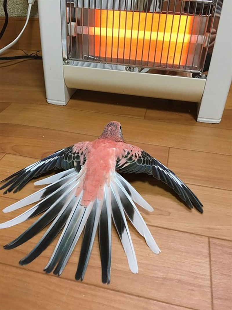 Focus On Heat And Humidity