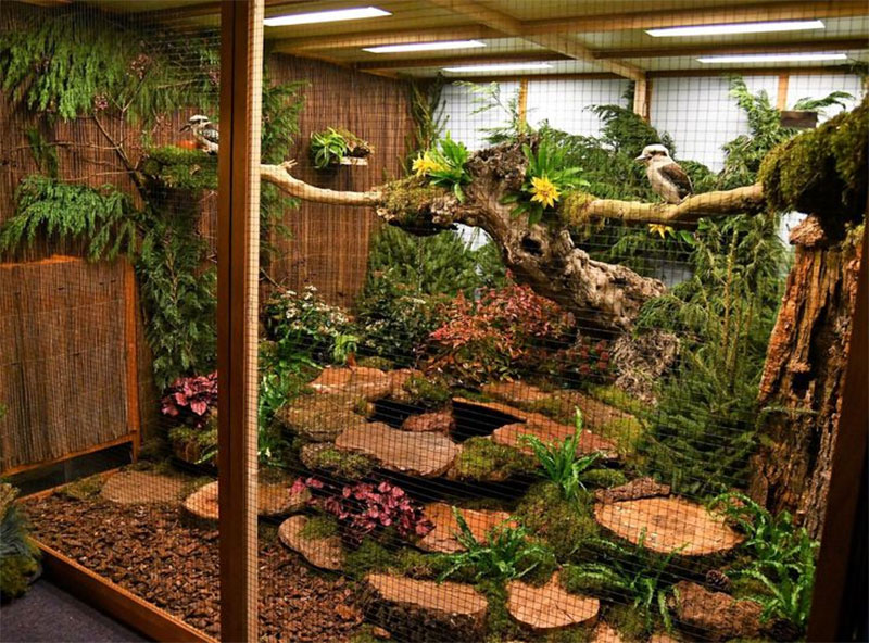 Mimic Natural Habitat 1