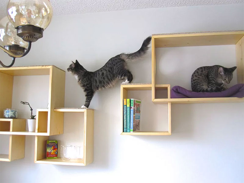 Shelves Work Too