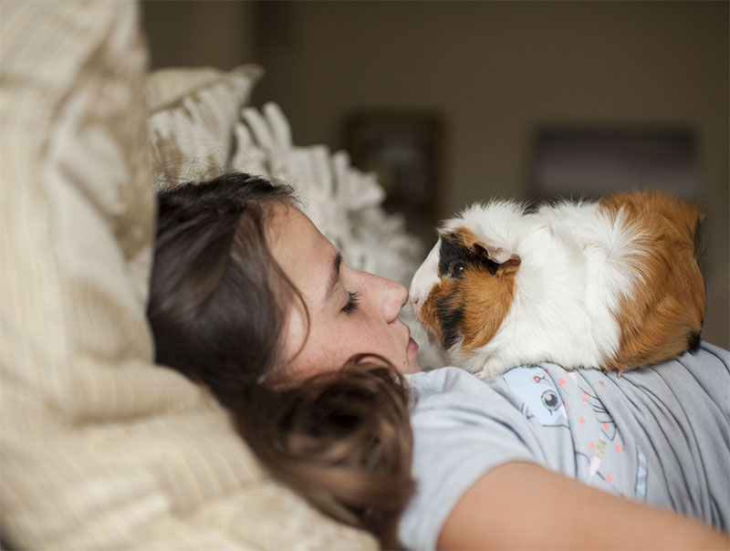 They sleep beside you