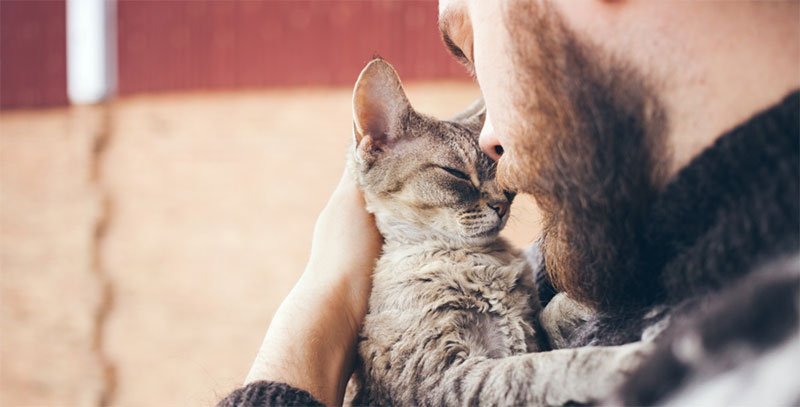 Purrs and Slow Blinks