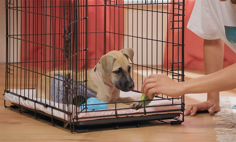 Play Lots of Crate Games