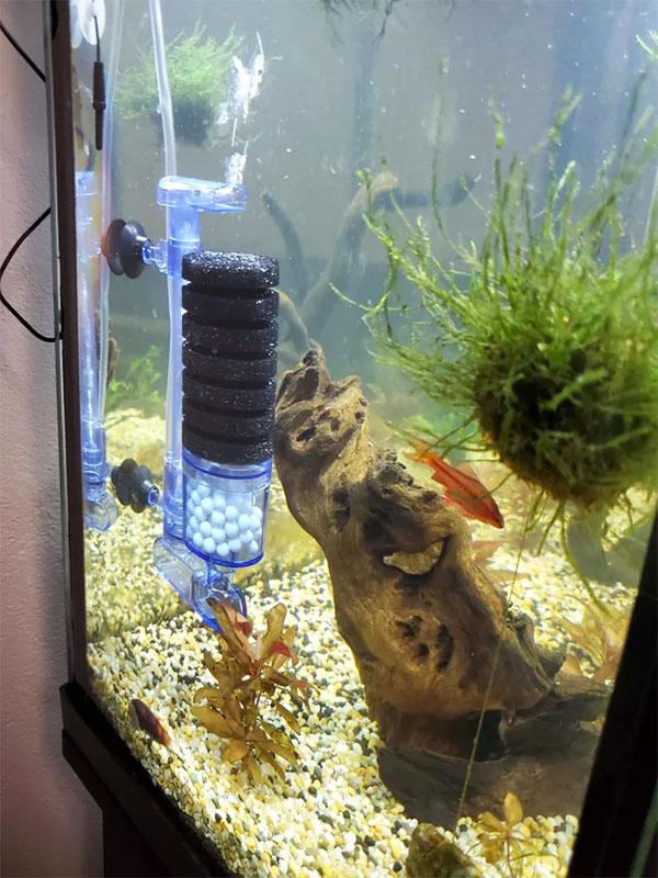 How to Pick a Good Sponge Filter