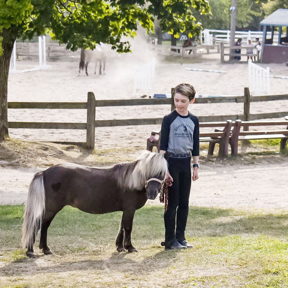 Ponies Have Unique Physical Characteristics