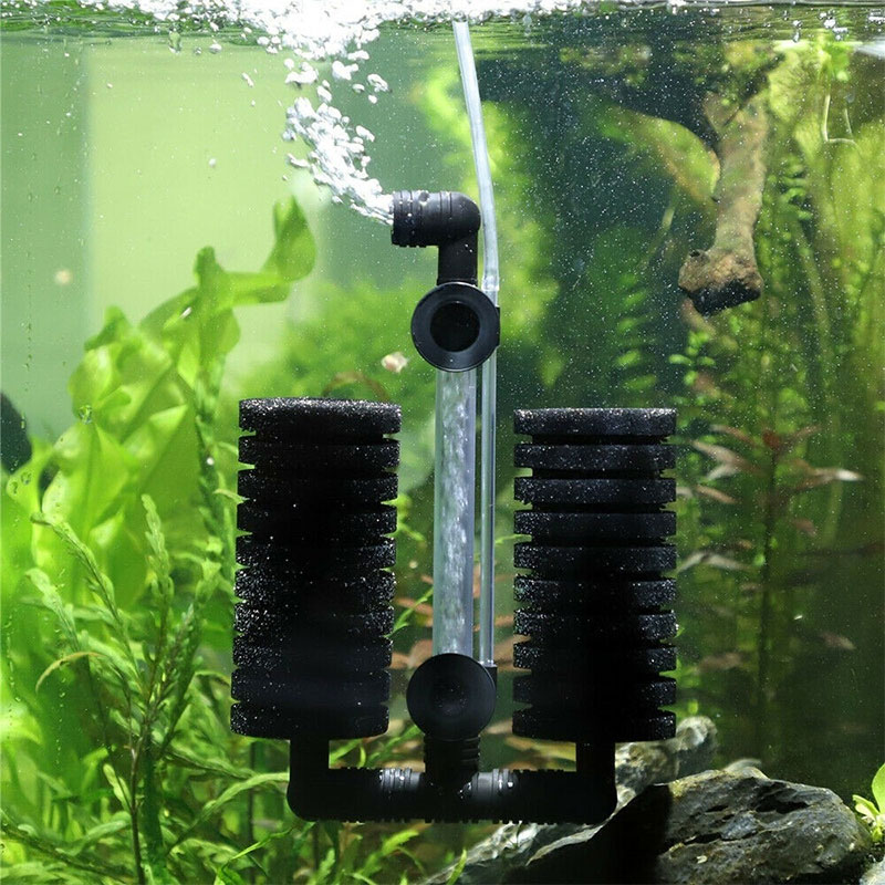 What Are the Shortcomings of a Sponge Filter