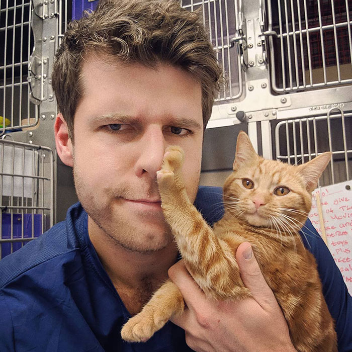 Pet the Sides of Your Cat s Face
