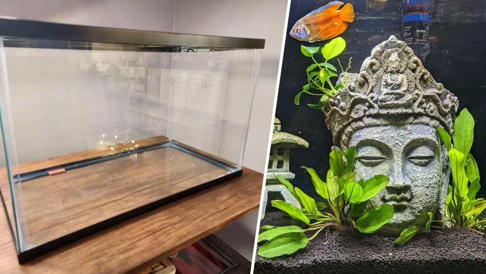 How to Build Your Own Glass Aquarium