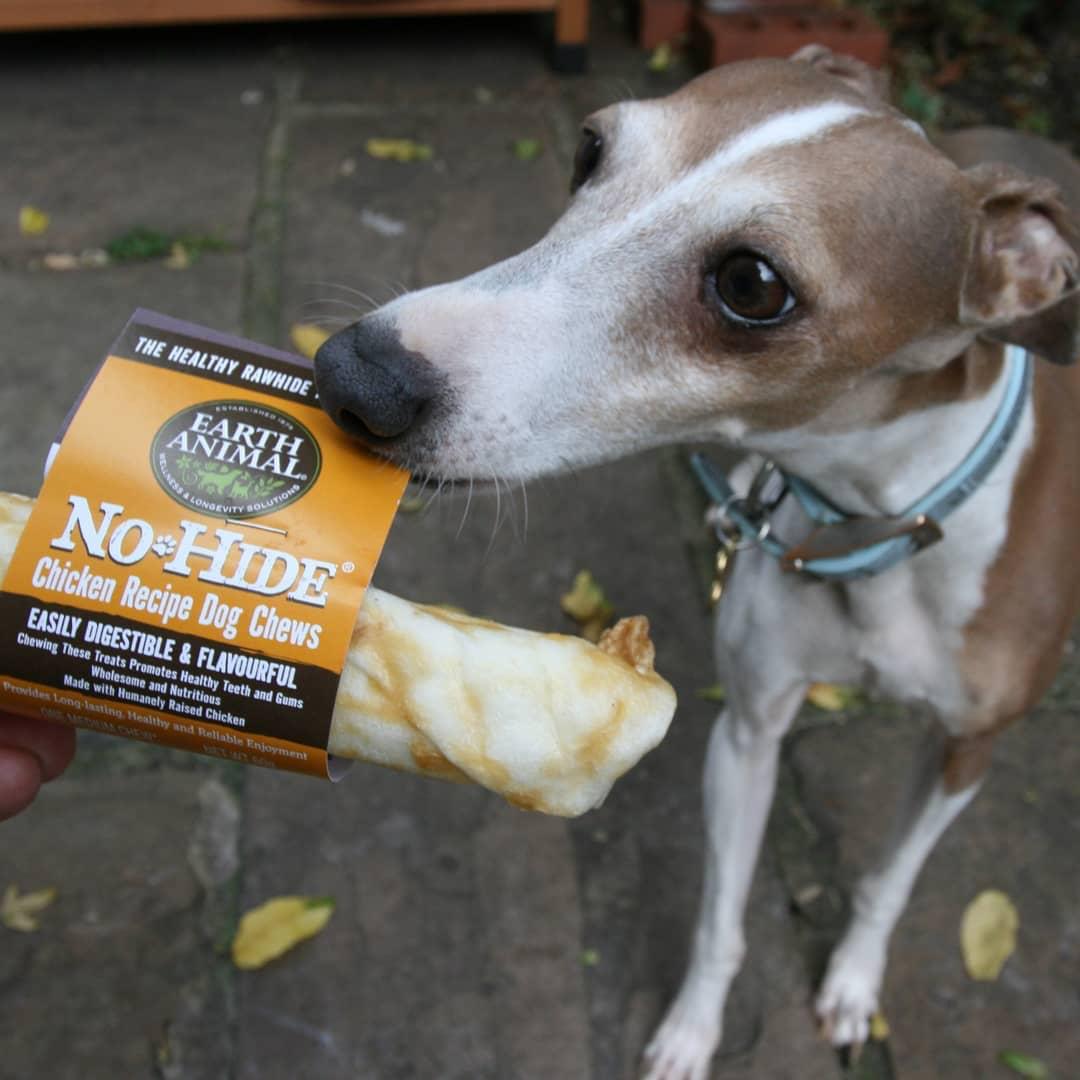 Earth Animal No Hide Chews