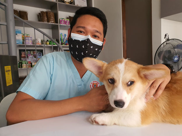 How can I tell if my dog has hiccups
