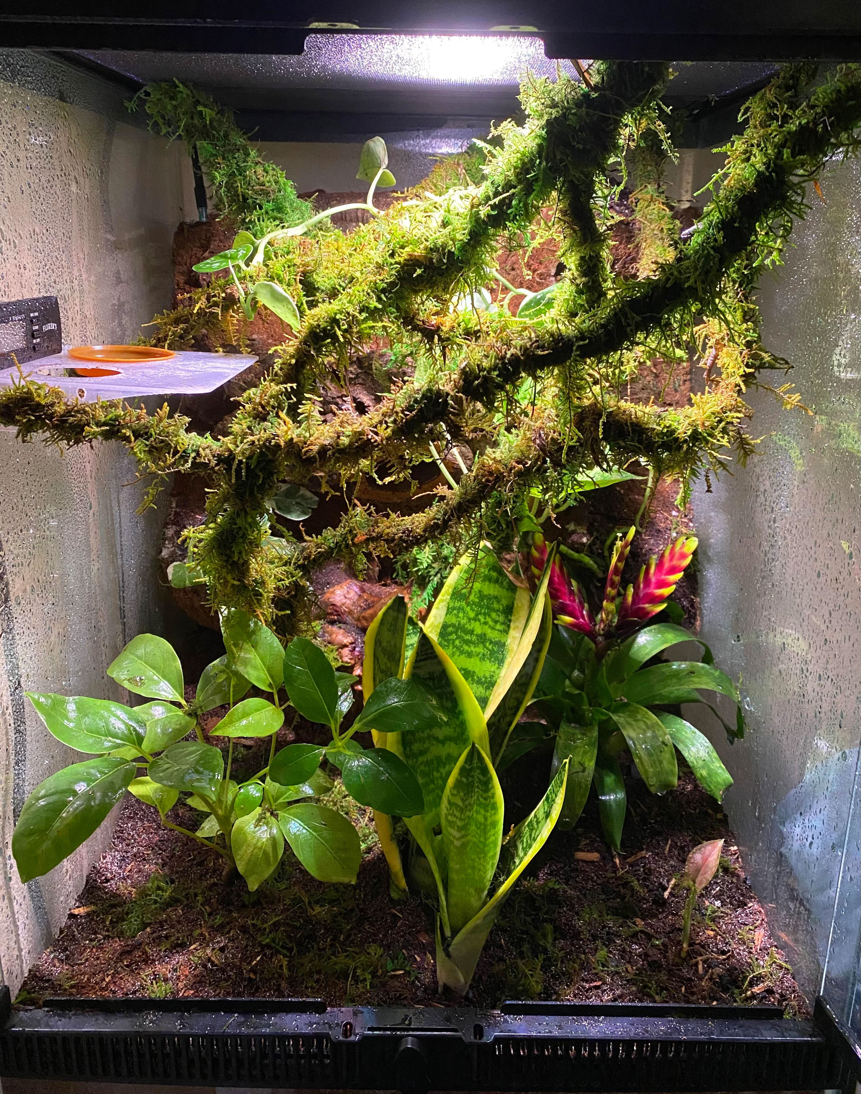 Temperature and Plant Life