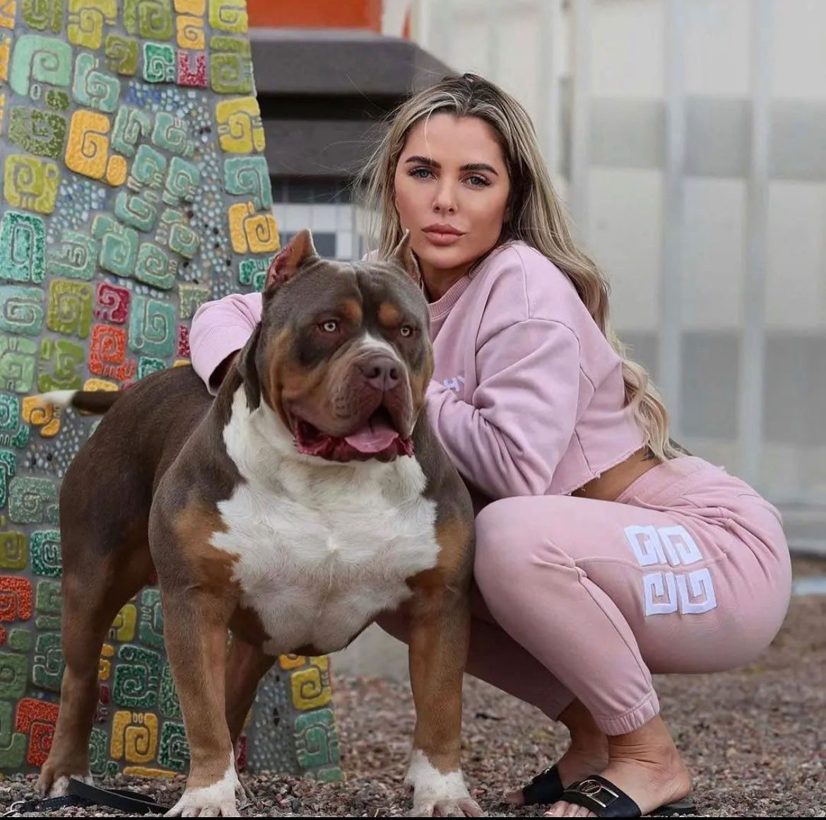 Pitbull