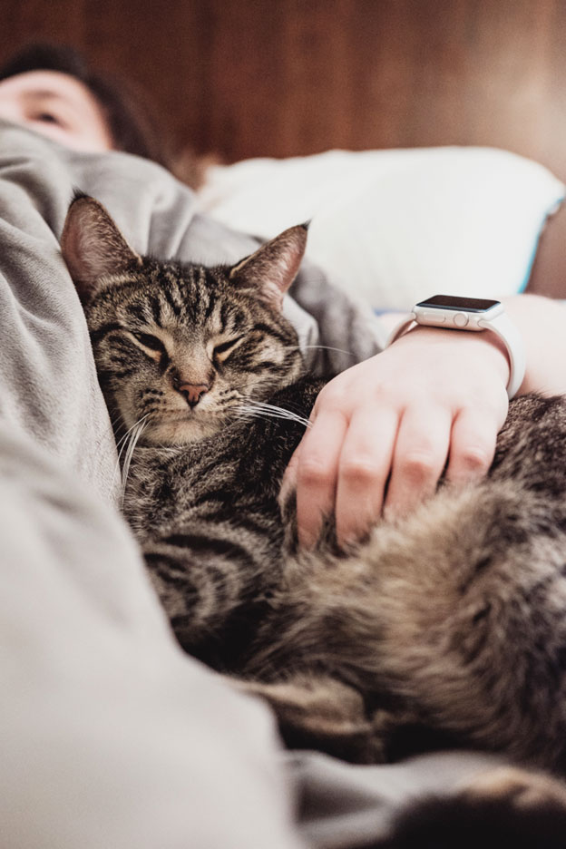 Social Interaction and Attention