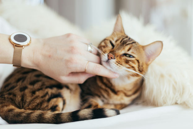 The Comfort and Security Factor