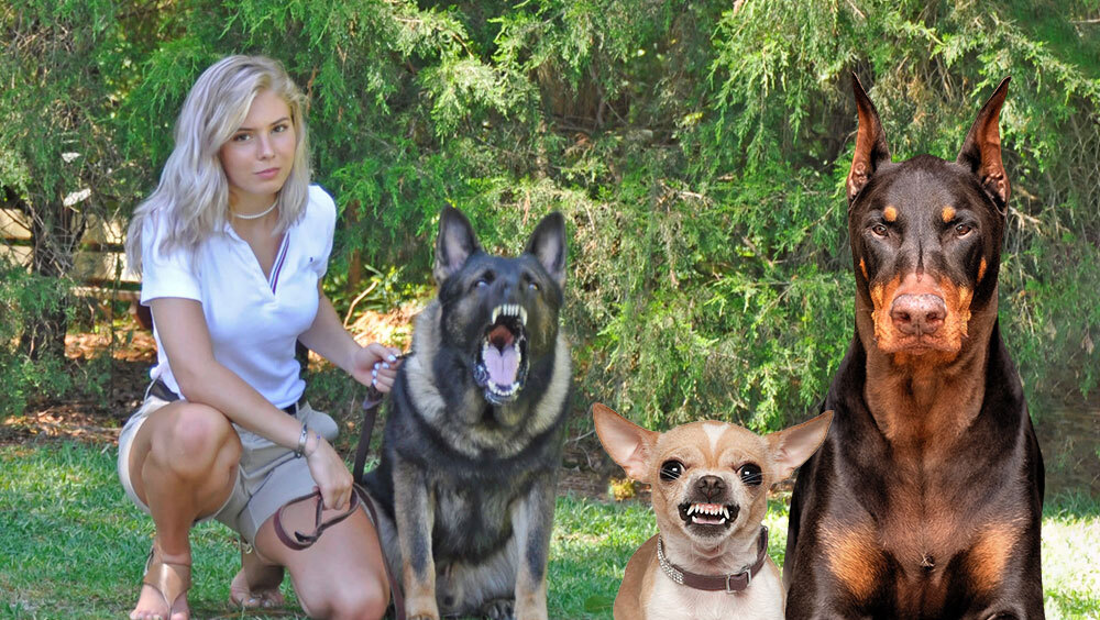 These Are The Scariest Dogs In The World!