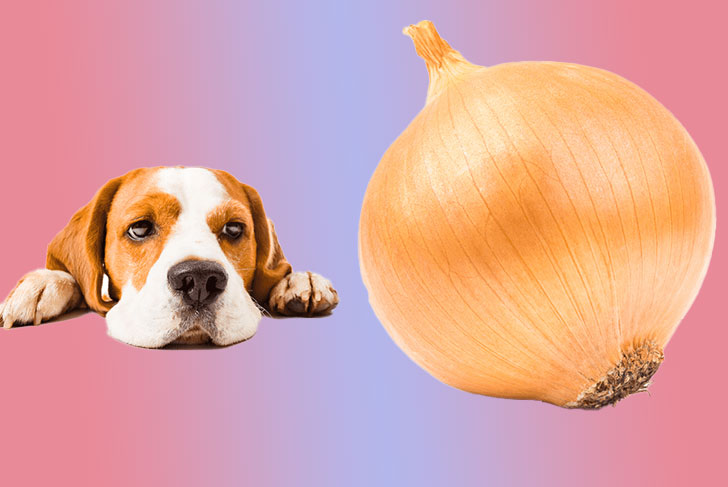 Onions