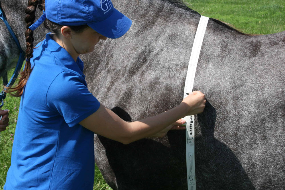 How To Figure Out A Horse s Weight