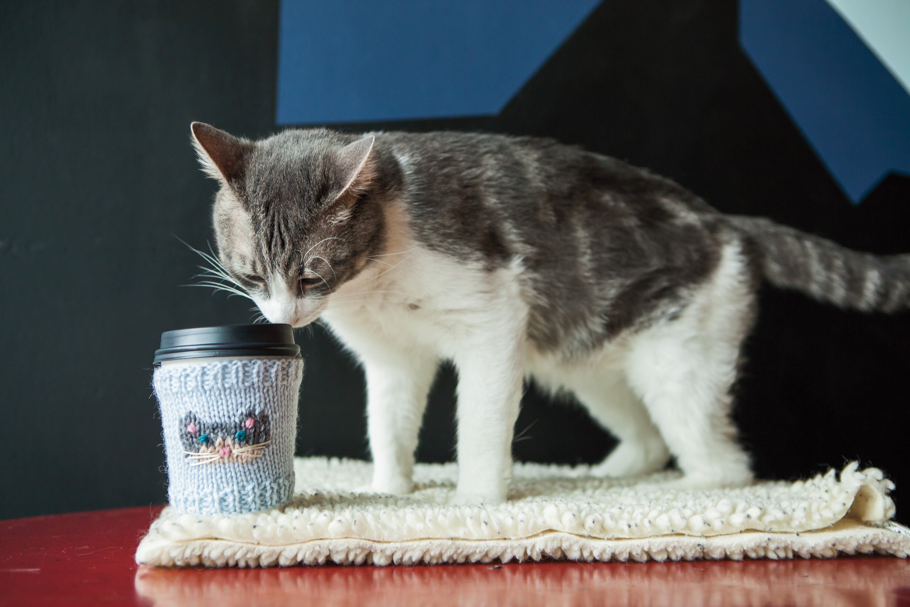 cat coffee