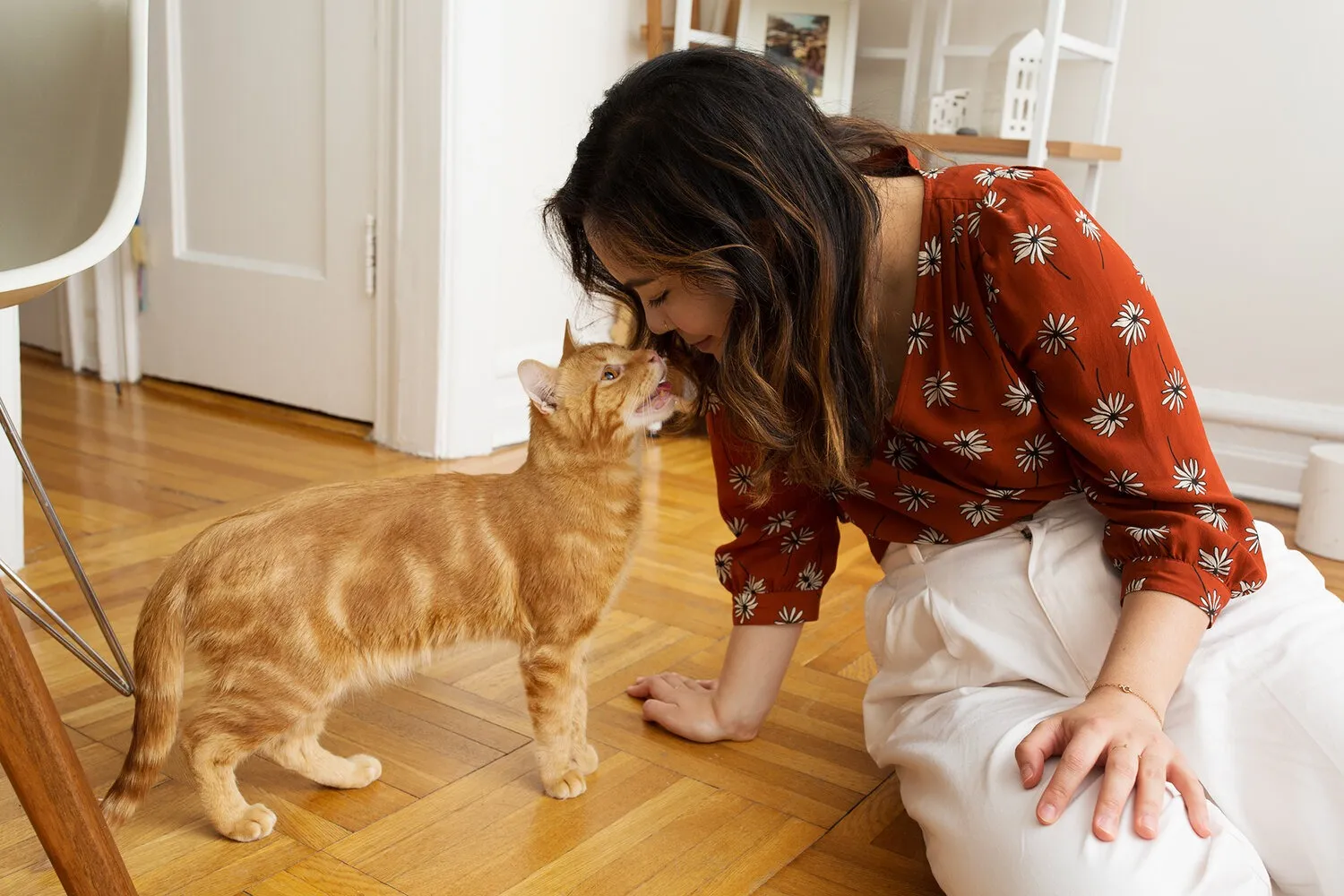 cat play