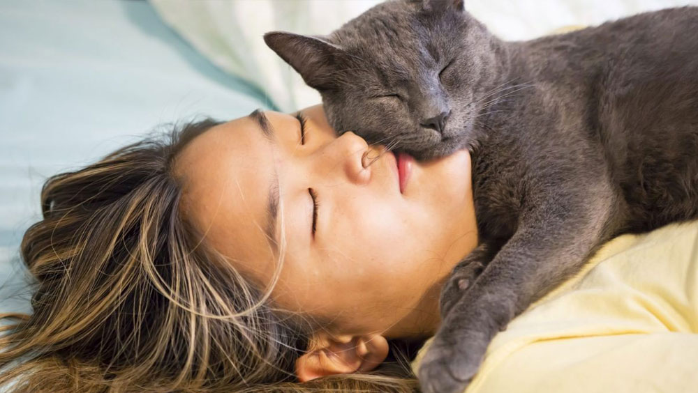 Chest Cuddlers: Why Do Cats Lay On Your Chest?