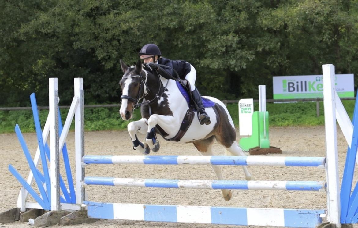 The Basics Of Equestrian Jumping