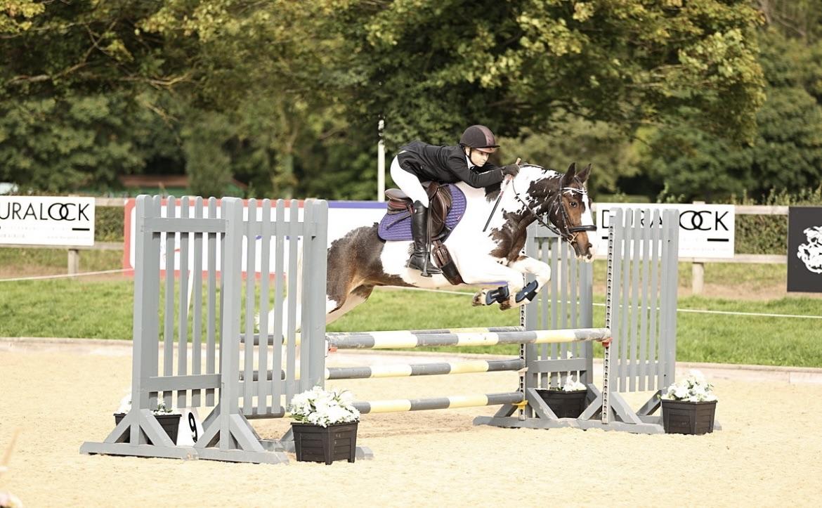 Understanding Horse Jumping