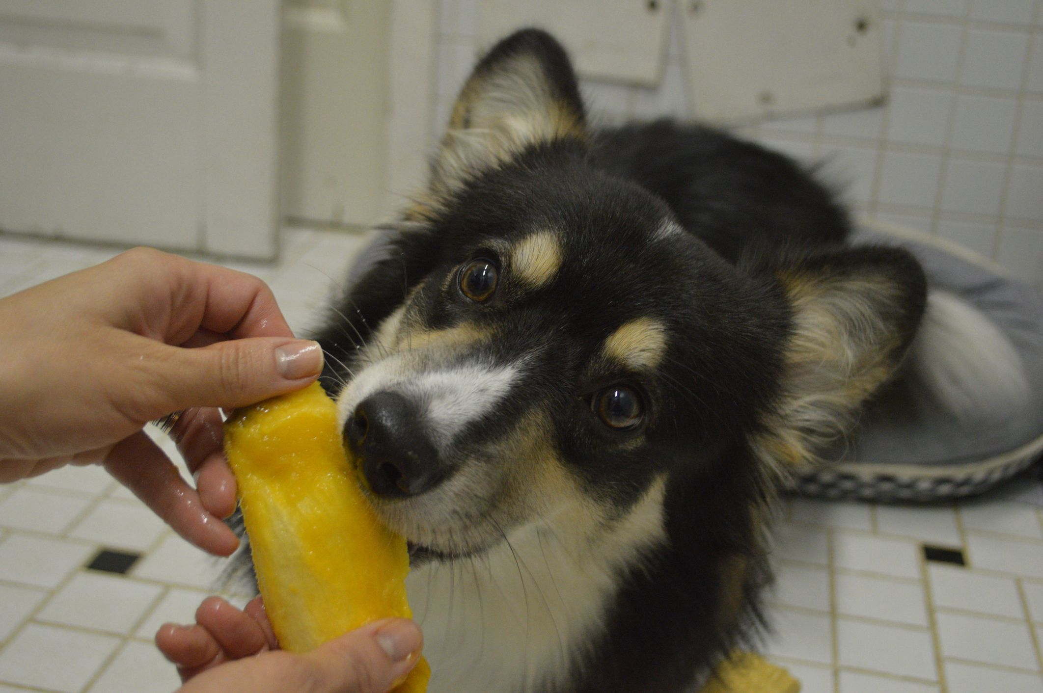 image 385