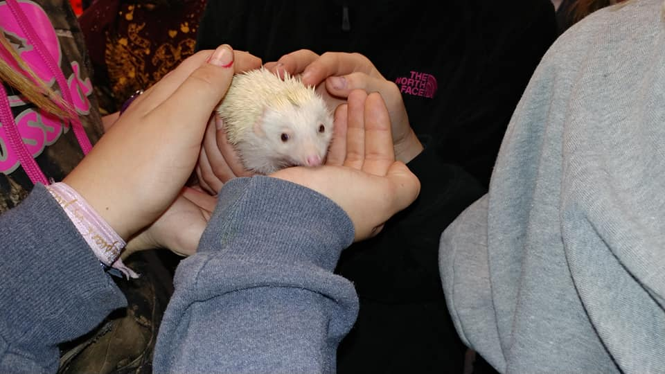 image 467