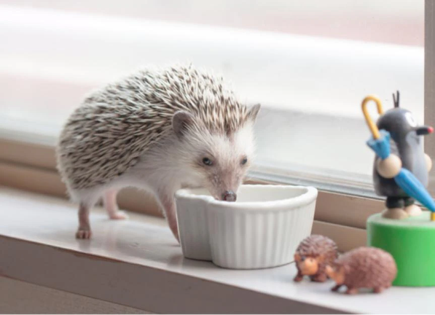 image 469