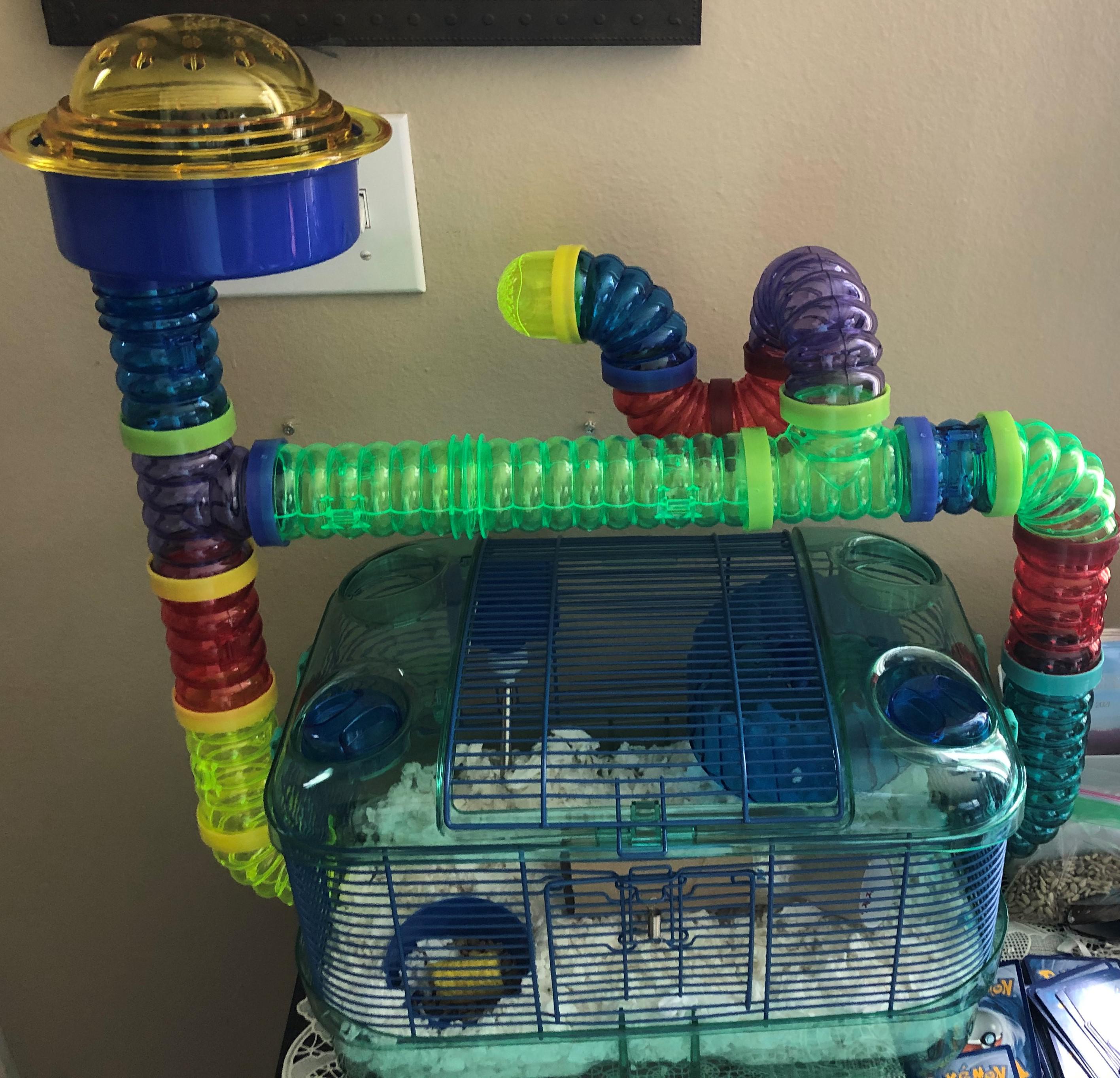 Clean All Cage Components