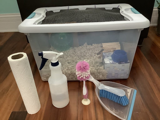 Gathering Your Cleaning Supplies