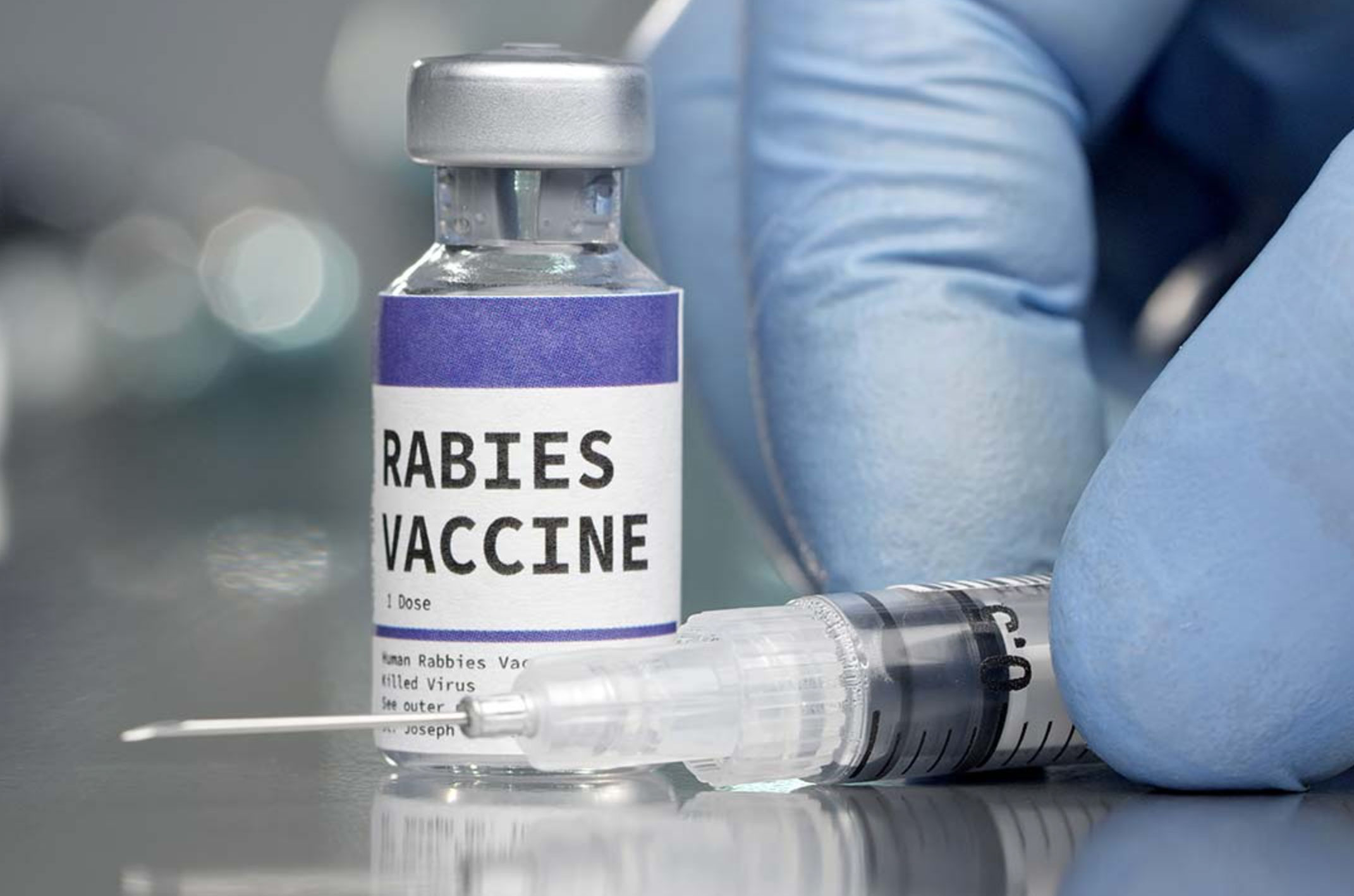rabies shot cost for dogs_d83f5e99 fa09 42a9 b64c 6f69a382309e