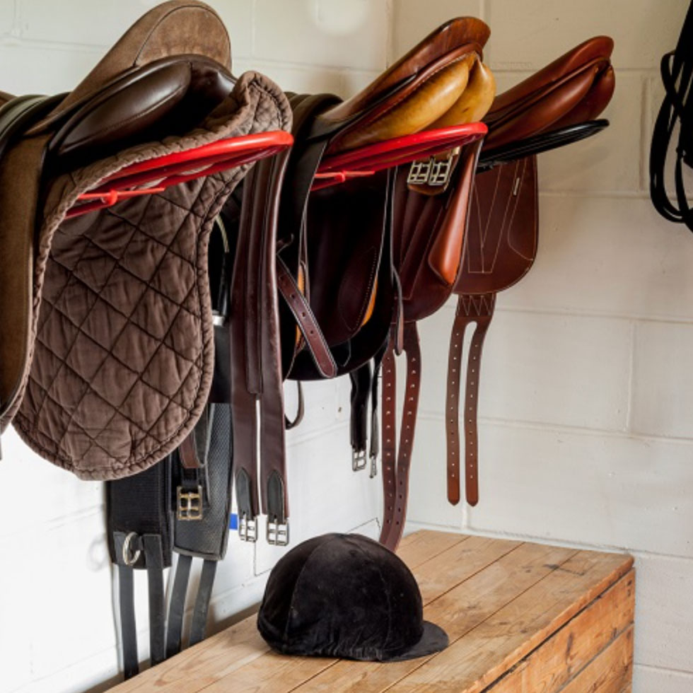 horse care essentials guide_1a6f0d5e 5e9b 4ba7 8acb d518e77981dc